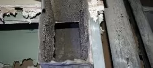 HVAC Mold Prevention